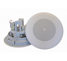 Потолочный громкоговоритель DNH BP-660(T)x2