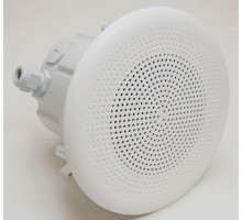 BPF-560 (T) DNH Потолочный громкоговоритель