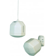 PS-6 L (T) DNH Настенный громкоговоритель